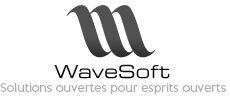 wavesoft gestion